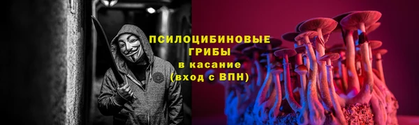 ПСИЛОЦИБИНОВЫЕ ГРИБЫ Бугульма