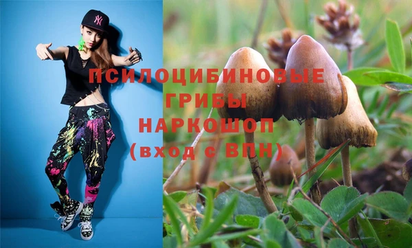 мет Покачи