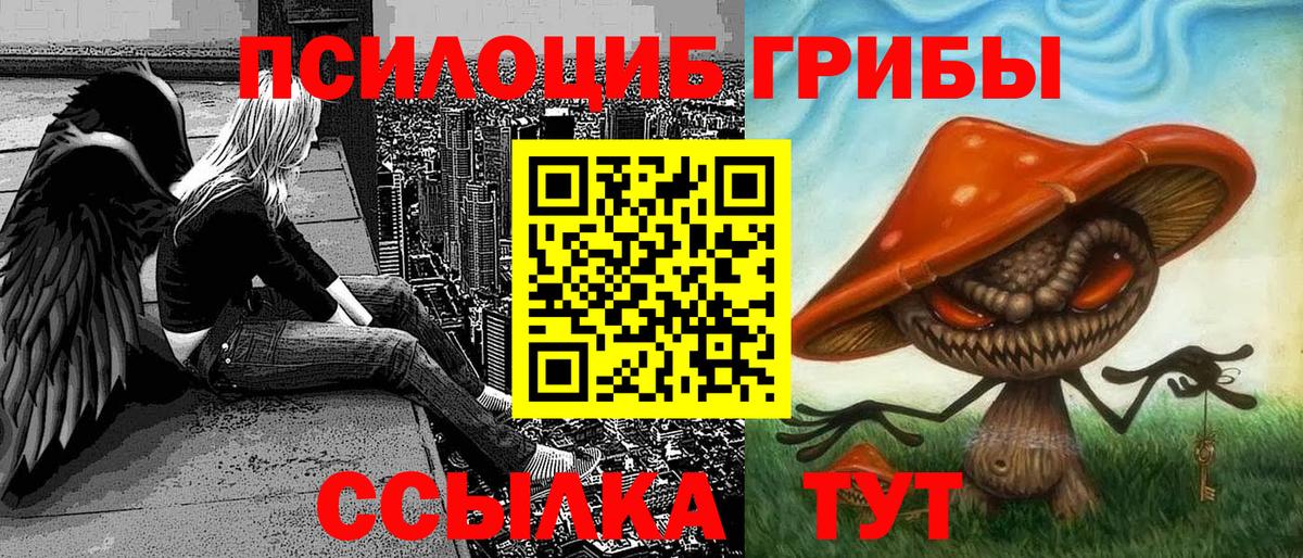 Псилоцибиновые грибы MAGIC MUSHROOMS Серов