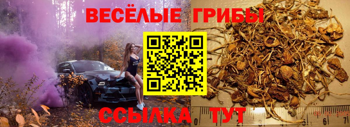 Меф МЯУ МЯУ кристаллы  Гашиш  Серов  Вход с VPN  Конопля 