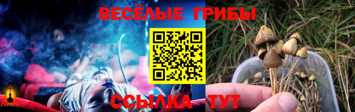Галлюциногенные грибы Cubensis  Вход с VPN  Серов 